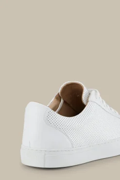 Sneaker Flat Tennis By Ludwig Reiter In , Unisex*Windsor New